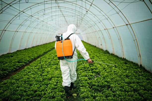 Best Emergency Pest Control  in Dexter, NM