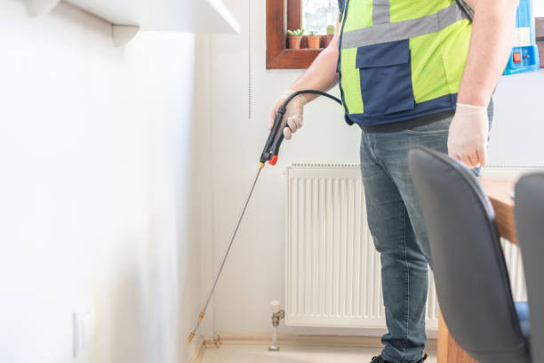 Best Mosquito Control Services  in Dexter, NM