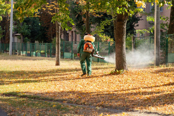 Best Pest Control Near Me in Dexter, NM